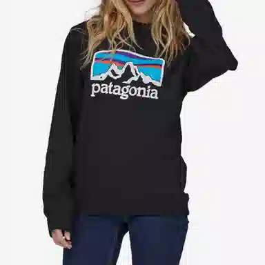 patagonia Fitz Roy Horizons Uprisal Crew