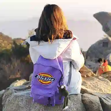 Dickies Backpack Purple