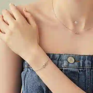 DaisyFellowes DF S925DD