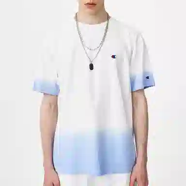 Champion Reverse Weave CT