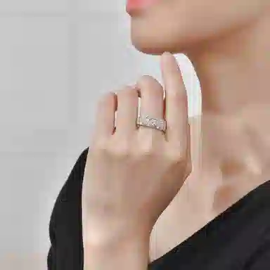 Daisy Fellowes X LF S925