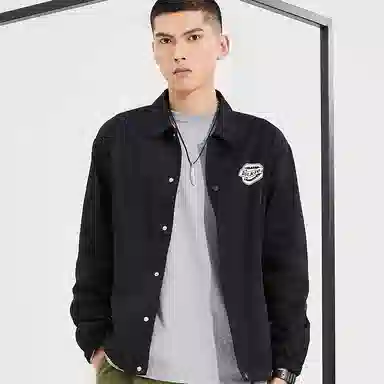Dickies Logo