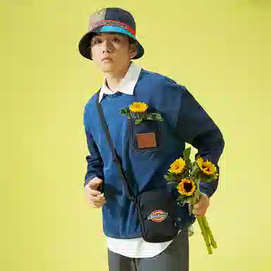 Dickies 100