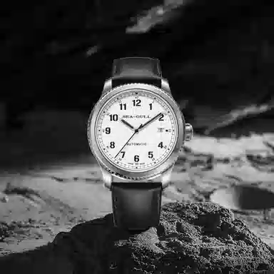 Sea-Gull 819.13.6081