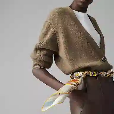 Hermes Le Chat Carre