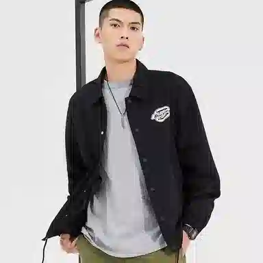 Dickies Logo