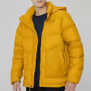 THE NORTH FACE FW21 logo