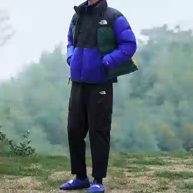 The North Face 1996 Retro Nuptse Jacket