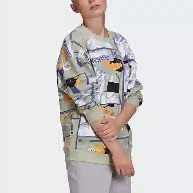 adidas originals Sweatshirt