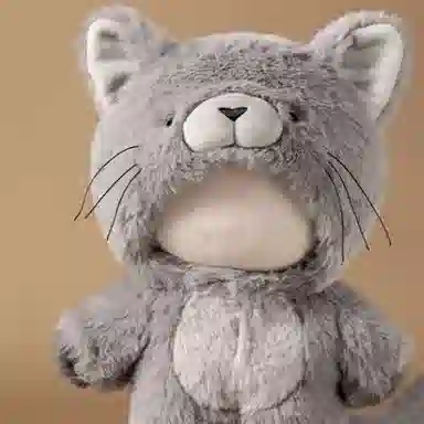 POP MART Animal Friends Series Blind Box