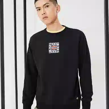 Dickies Crewneck Sweatshirt Black