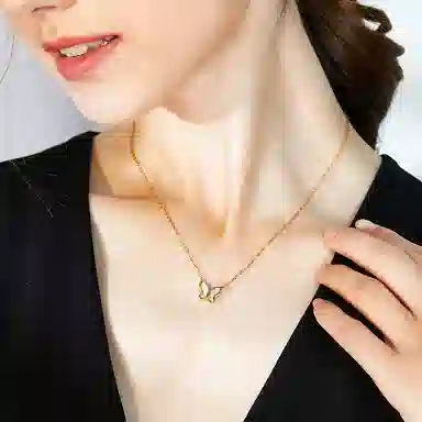 PARAS KORS PK Vanessa01