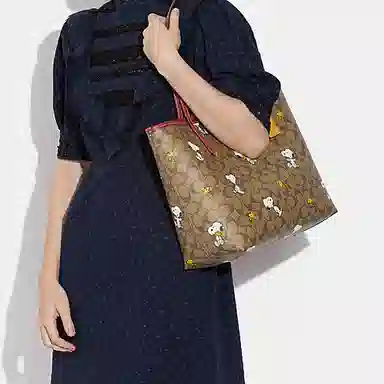 COACH x Peanuts Dempsey 33 Brown