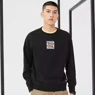 Dickies Crewneck Sweatshirt Black