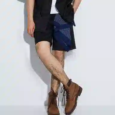 Dickies Shorts Black