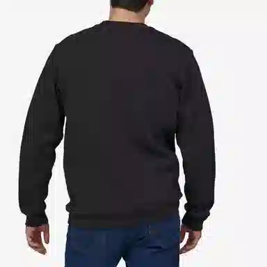 patagonia Fitz Roy Horizons Uprisal Crew