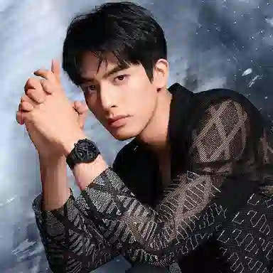 Emporio Armani AR11242