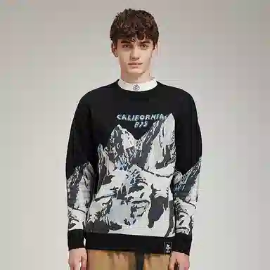 PJ's Vigor