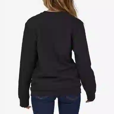 patagonia Fitz Roy Horizons Uprisal Crew