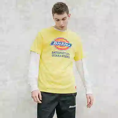 Dickies SS21 T