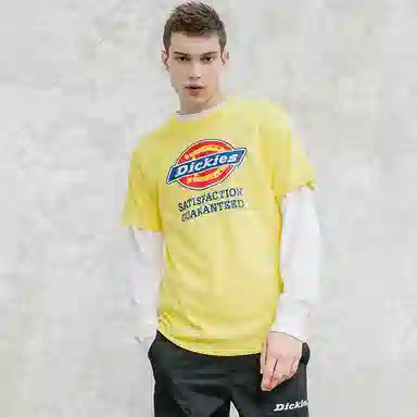 Dickies SS21 T