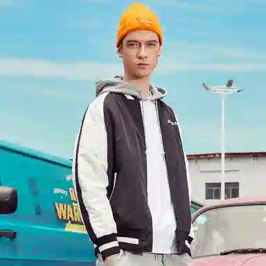 Dickies Logo