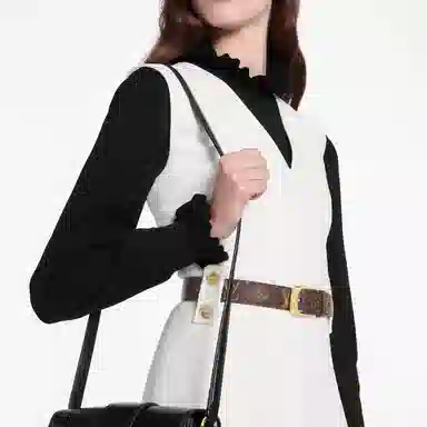 Louis Vuitton Ellipse Belt