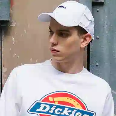 Dickies LOGO
