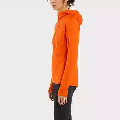 Arcteryx Delta Half Hoody W