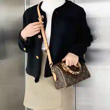 LOUIS VUITTON Speedy 20