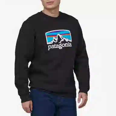 patagonia Fitz Roy Horizons Uprisal Crew