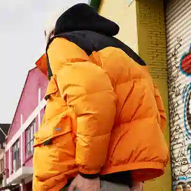 Dickies