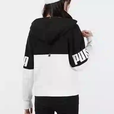 Puma Power Colorblock Hoodie