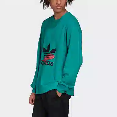 adidas originals Hoody Sweatshirt
