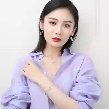 DaisyFellowes DF S925 AY