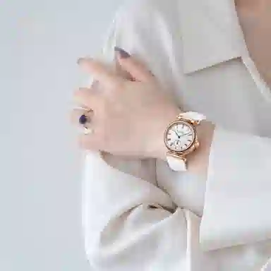 SEA GULL 513.11.6065L