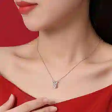 PARAS KORS PK Rabbit