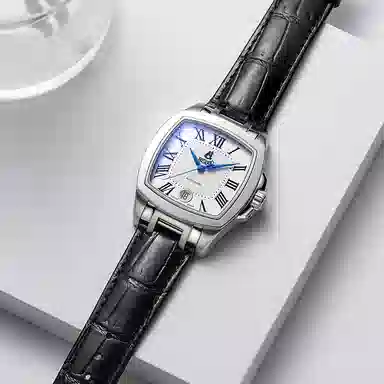 ERNEST BOREL COSC 37mm GS1856S-E251BK