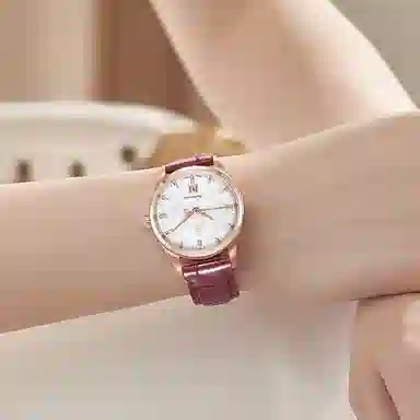 ERNEST BOREL 50 29mm N0401L0C-MR2L