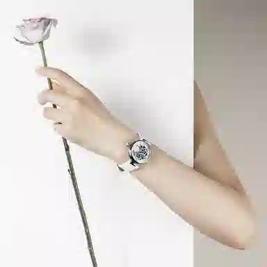 Sea-Gull 813.15.6102L