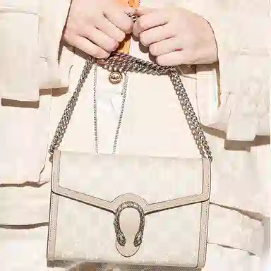 Gucci Dionysus Beige