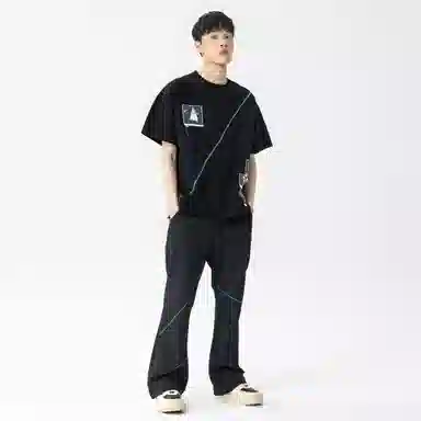 XINYINSU T