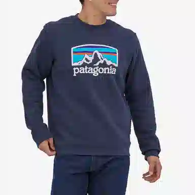 patagonia Fitz Roy Horizons Uprisal Crew