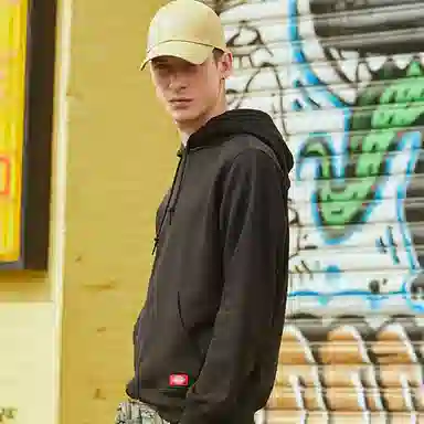Dickies Logo