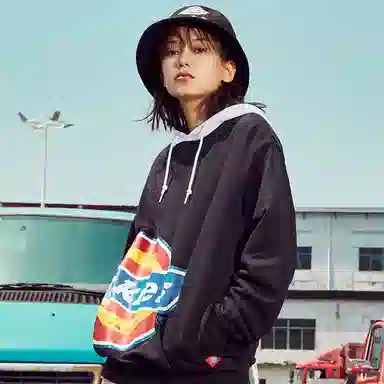 Dickies Logo