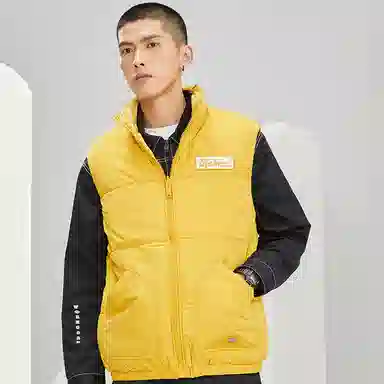 Dickies logo