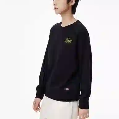 Dickies FW22 Logo