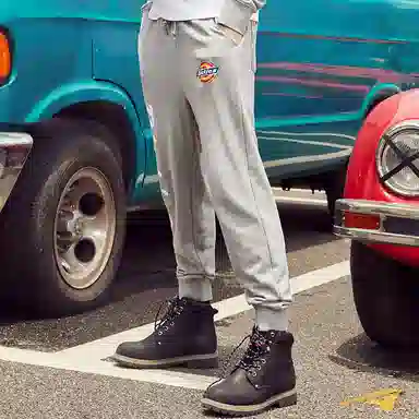 Dickies Logo