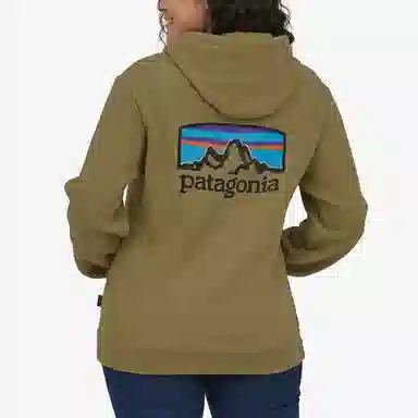 Patagonia Fitz Roy Logo Hoodie