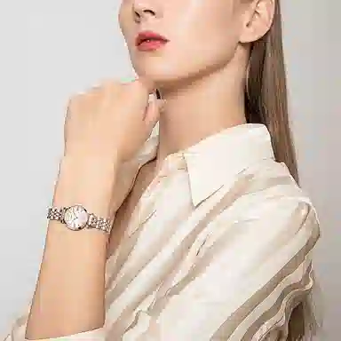 EMPORIO ARMANI 22mm AR1764